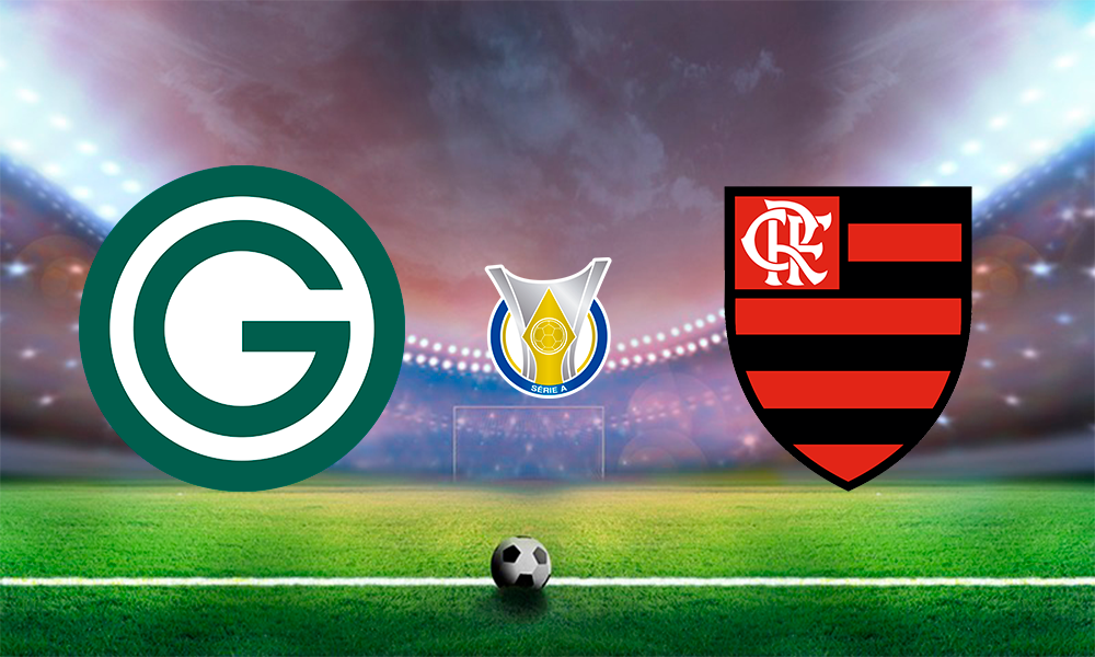 goiás e flamengo