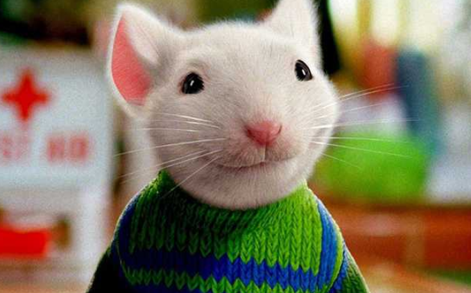 Filme Stuart Little 2