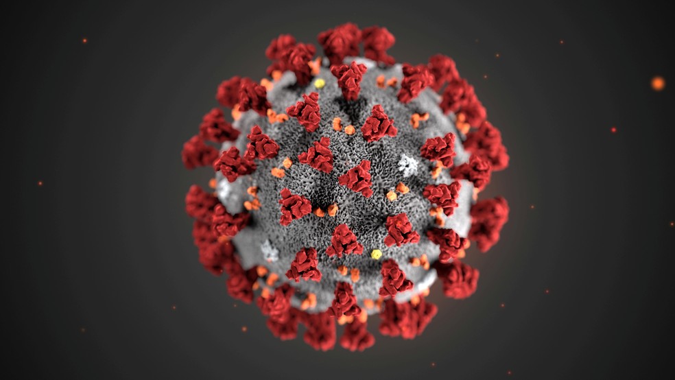 coronavirus 4