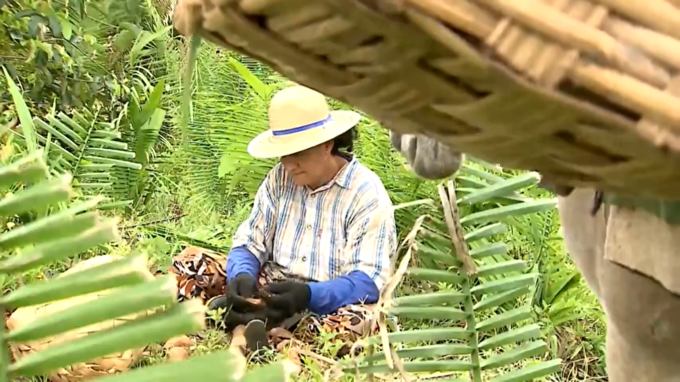 Globo Rural