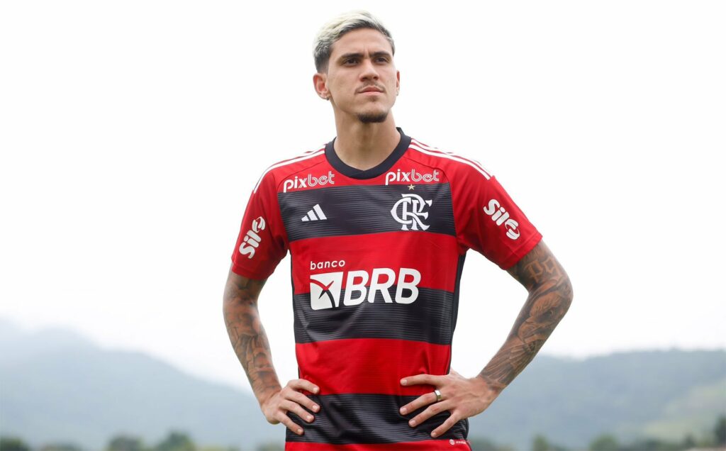 Pedro Flamengo