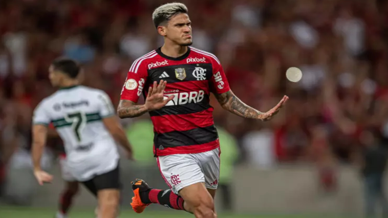 Flamengo Pedro