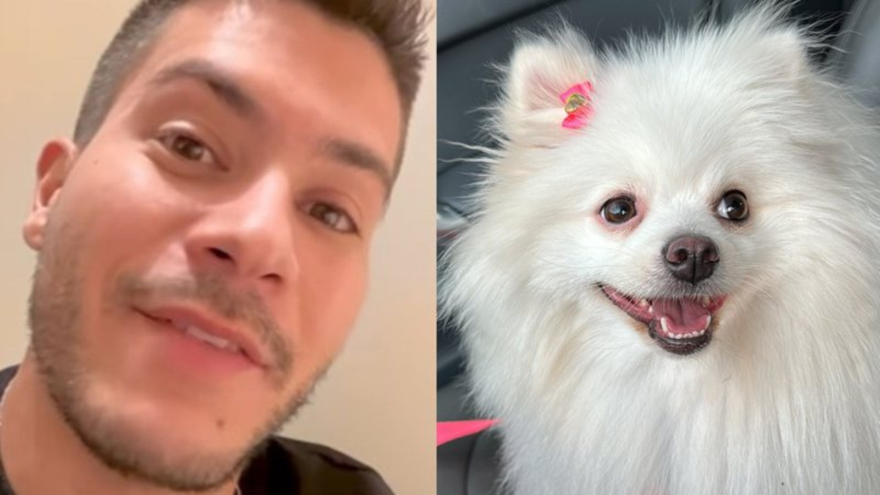 Artur Aguiar e sua nova cachorrinha "Jade" (Créditos:Reprodução/Instagram)