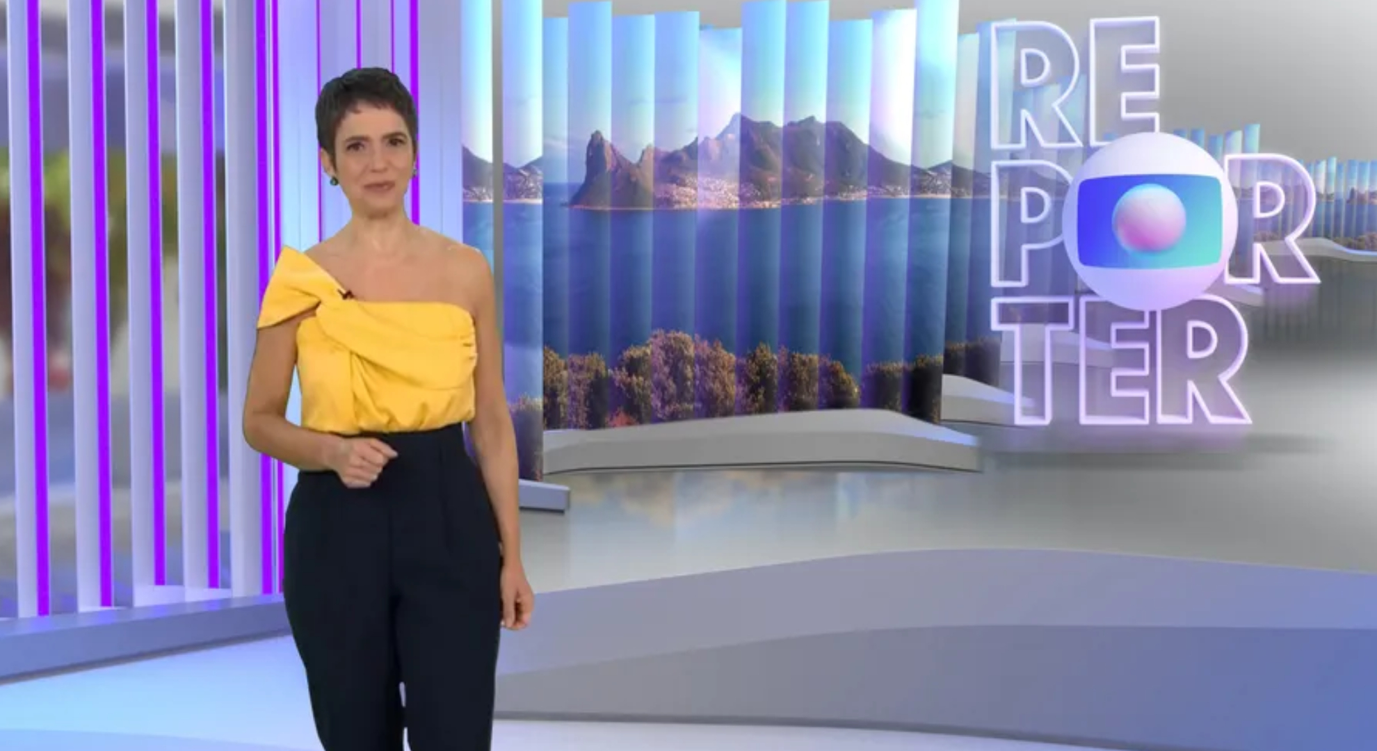 Globo Repórter Sandra Annemberg