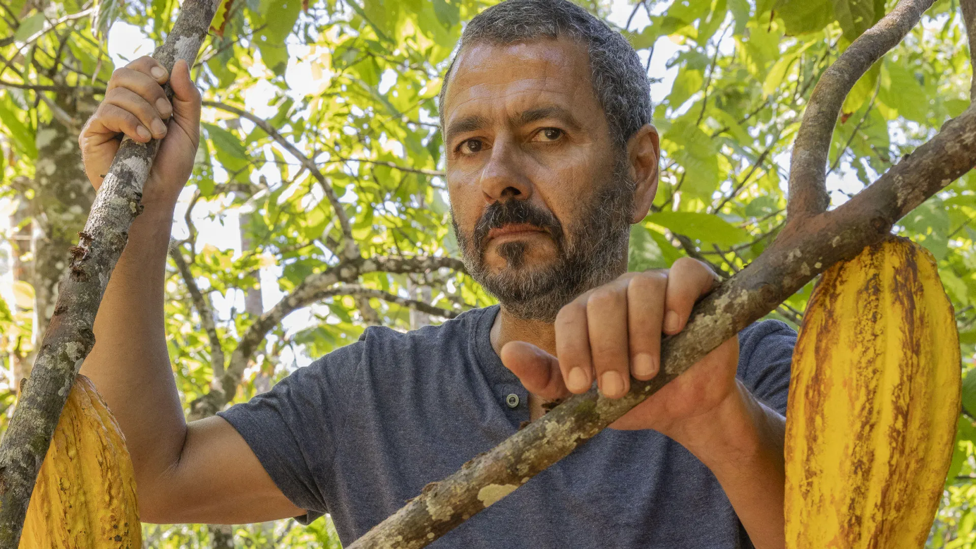 José Inocêncio na segunda fase de Renascer