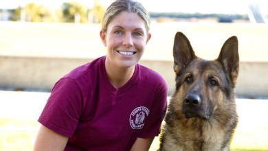 Filme Megan Leavey análise