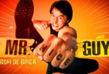 Filme Mr Nice Guy – Bom de Briga